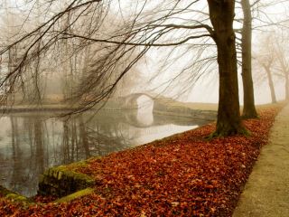 Погода в Луганске на выходные  и  ноября