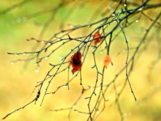 Синоптики обещают Украине теплую и сухую погоду