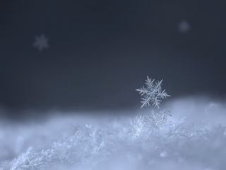 Погода в Луганске на завтра, 3 декабря: снег