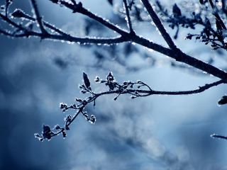 Погода в Луганске на завтра  декабря  С