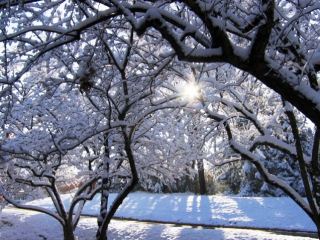 Погода в Луганске на завтра  декабря С