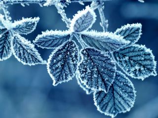 Погода в Луганске на завтра  декабря похолодает до С