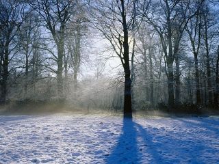 Погода в Луганске на завтра  декабря С