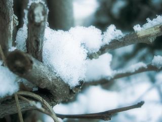 Погода в Луганске на завтра  декабря С