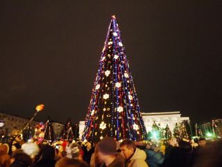 В Луганске зажгла огни главная новогодняя елка фото