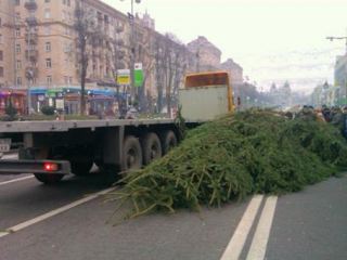 На Евромайдане появилась метровая елка