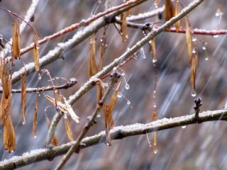 Погода в Луганске на выходные  и  декабря